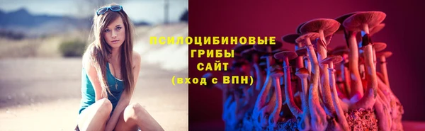 МДПВ Алзамай