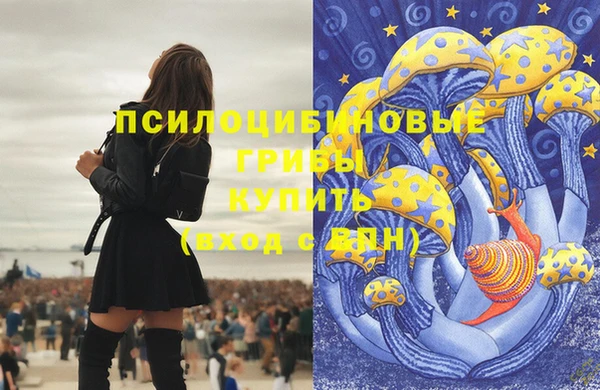 2c-b Алексин