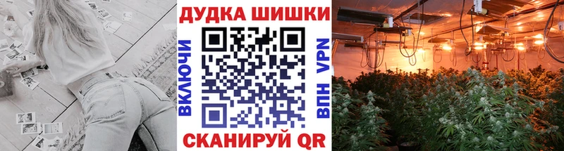 Бошки Шишки сатива  Грайворон 